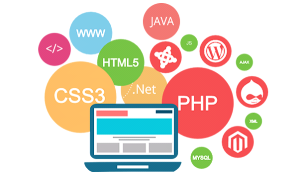 Web design & development